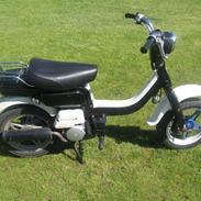 Suzuki Fz 50 