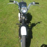 Suzuki Fz 50 
