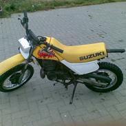 Suzuki DS 80 [R.I.P.]
