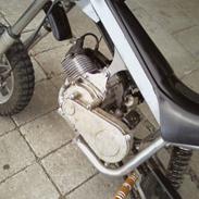 MiniBike trial bike 49cc