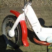 Vespa caio