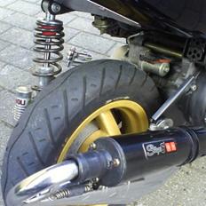 Aprilia Sonic (Humlebien)