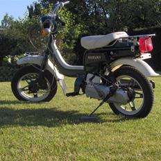Suzuki Fz50 (SOLGT)