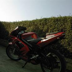 Rieju RS2 Matrix (SOLGT)