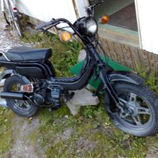 Suzuki Fz50 "SOLGT"
