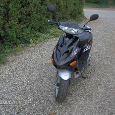 Adly (tmp baboon) (solgt)