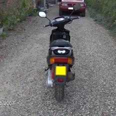 Adly (tmp baboon) (solgt)