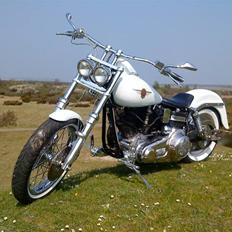 MiniBike Mini Harley