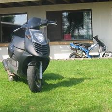 Aprilia sonic