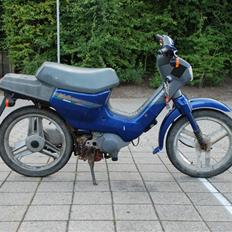 Honda Wallaroo // Solgt