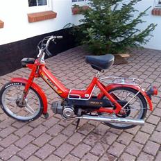 Puch maxi k (SOLGT)