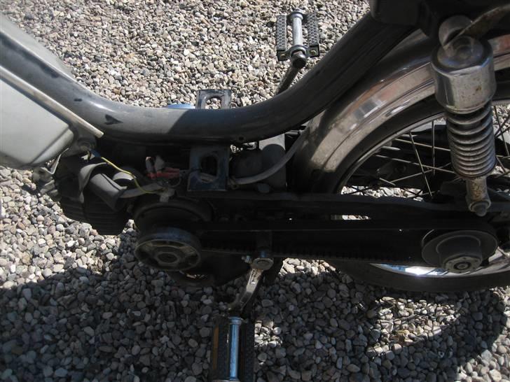 Honda Camino PA50 billede 1