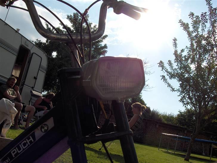 Puch maxi k''maxi Stewart'' billede 4