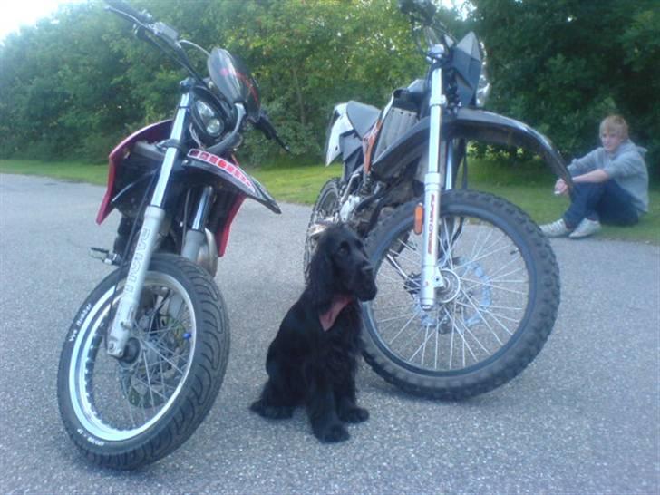 CPI SX Solgt billede 5