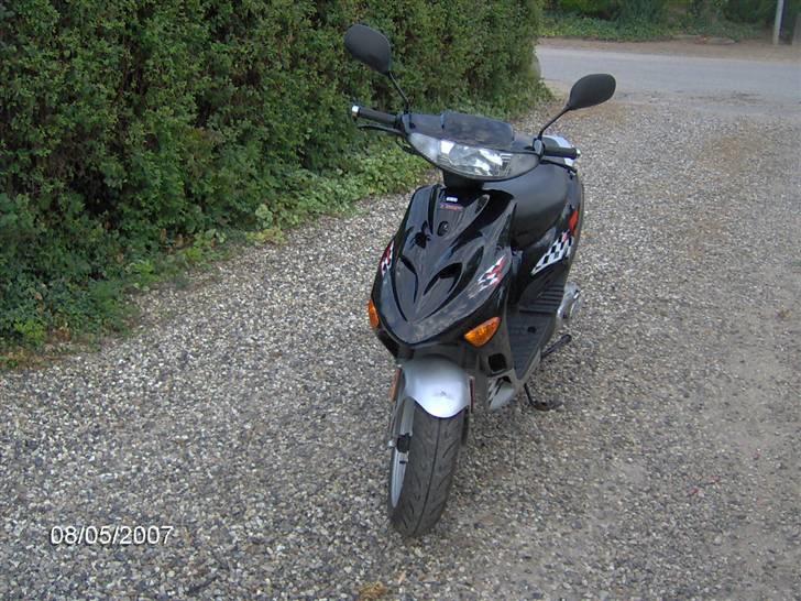 Adly (tmp baboon) (solgt) billede 1