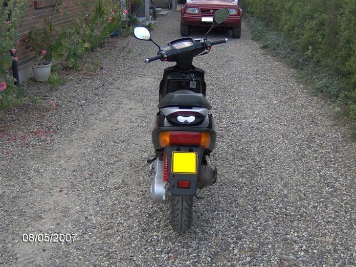 Adly (tmp baboon) (solgt) billede 2