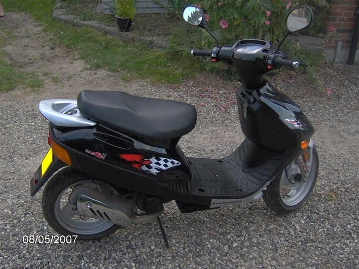 Adly (tmp baboon) (solgt) billede 4