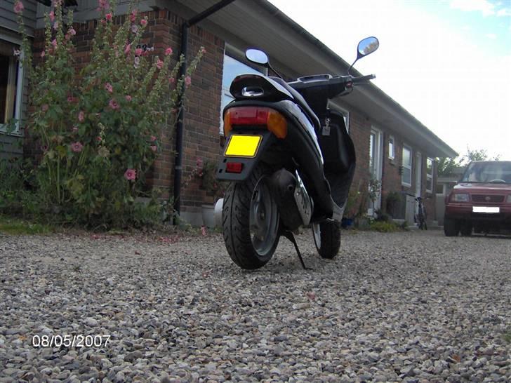 Adly (tmp baboon) (solgt) billede 5