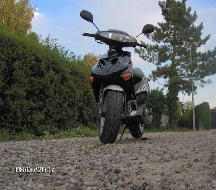 Adly (tmp baboon) (solgt) billede 6