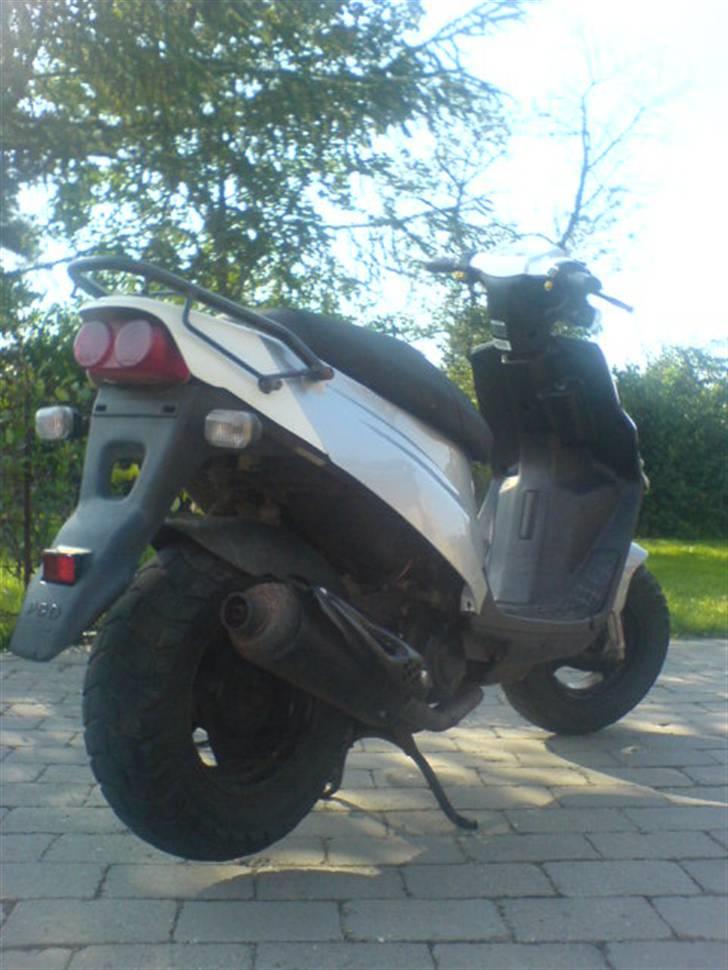 PGO Hot 50 (Krøllet) billede 9