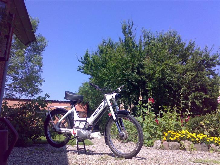 Puch Maxi K E:50 billede 12