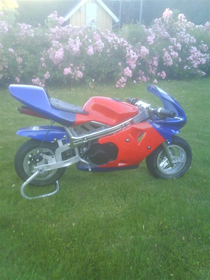 MiniBike Pocketbike Til Salg billede 1