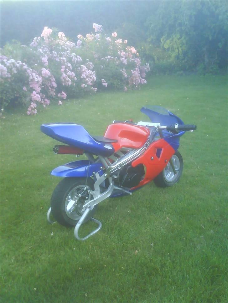 MiniBike Pocketbike Til Salg billede 2