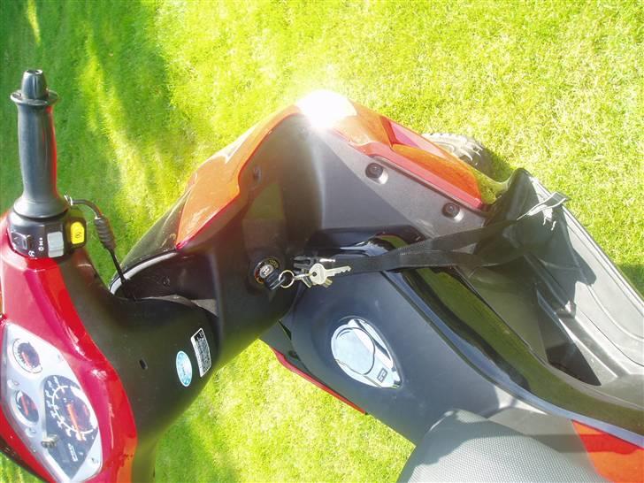 PGO G-Max (TIL SALG) billede 8