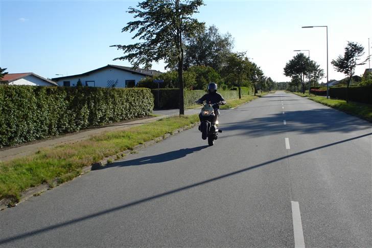 PGO PMX NAKED billede 6