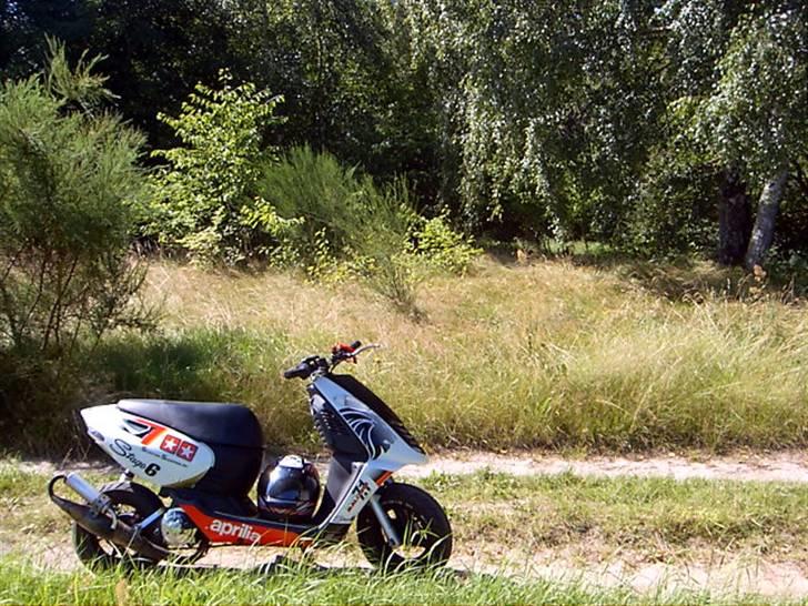 Aprilia Sonic Lc ™ ²ºº7 - Foto: Kenneth L Pedersen ;) billede 5