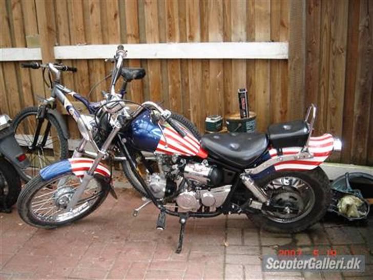 Regal raptor solgt billede 1