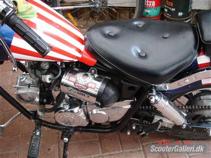 Regal raptor solgt billede 2