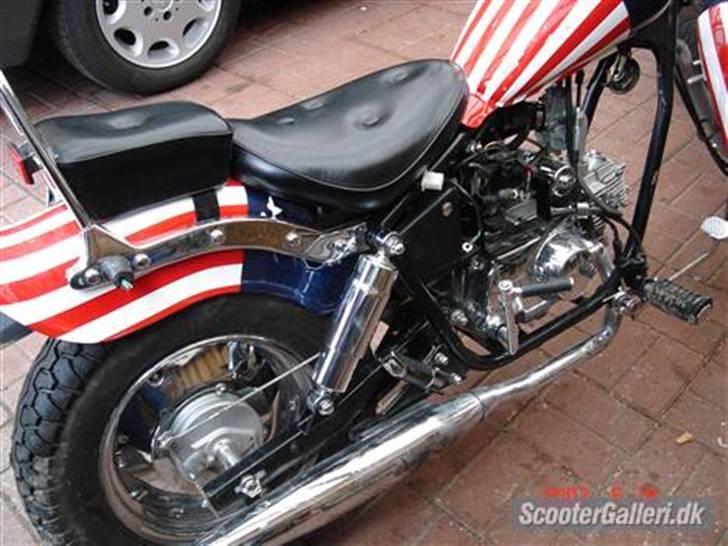 Regal raptor solgt billede 3