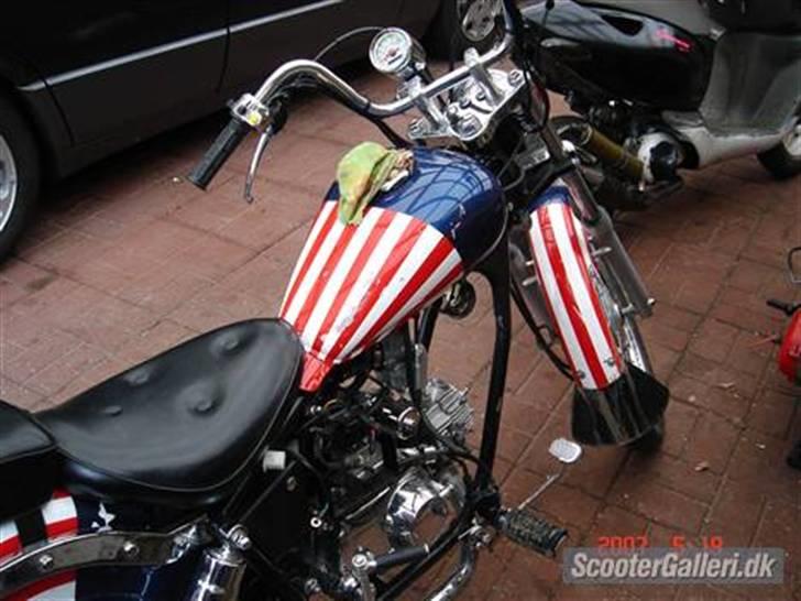 Regal raptor solgt billede 4