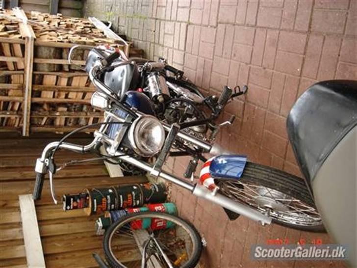 Regal raptor solgt billede 5