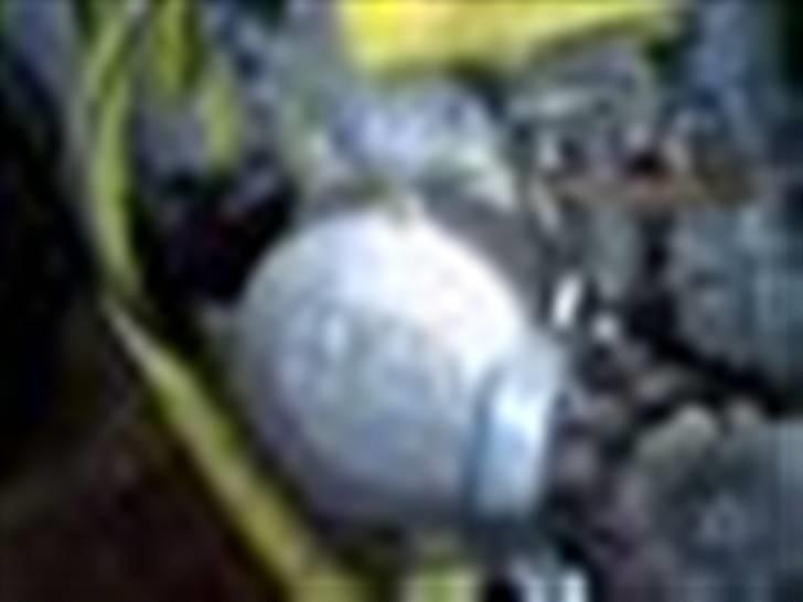 Suzuki tm 85 solgt billede 3