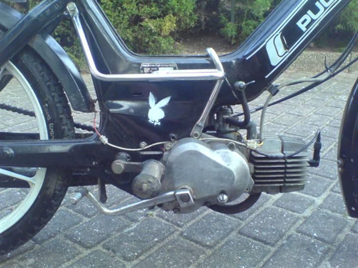 Puch maxi  (solgt) billede 3