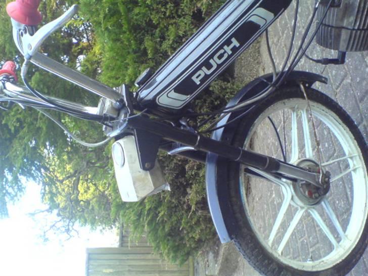Puch maxi  (solgt) billede 5