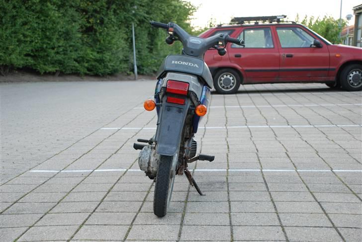 Honda Wallaroo // Solgt - bagfra billede 4