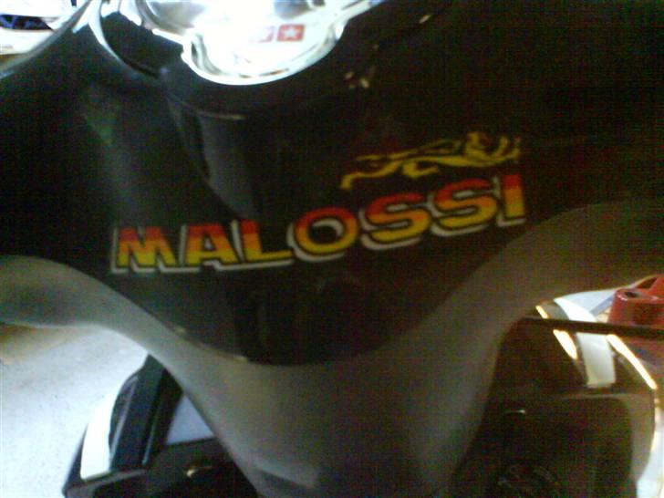 PGO Rodoshow billede 10