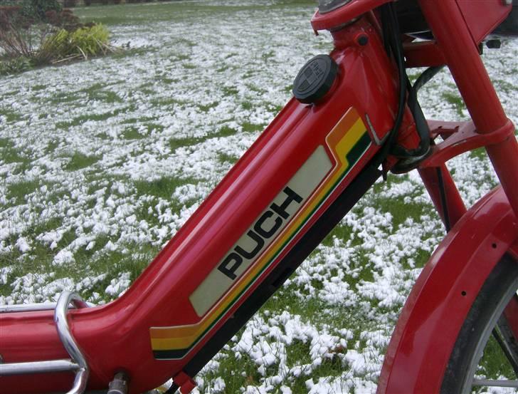 Puch maxi k (SOLGT) billede 6