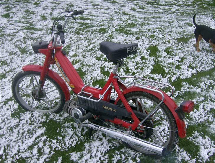 Puch maxi k (SOLGT) billede 7