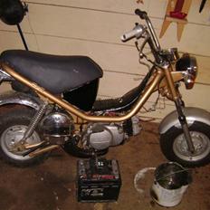 Yamaha chappy (project)