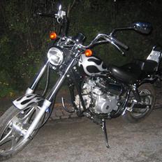 Kinroad Prince "Stybe"