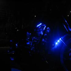 Kinroad Prince "Stybe"