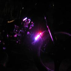 Kinroad Prince "Stybe"