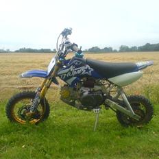 MiniBike thumpstar