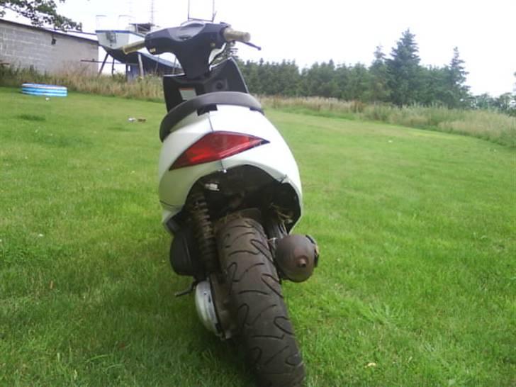 Suzuki estilete  billede 3