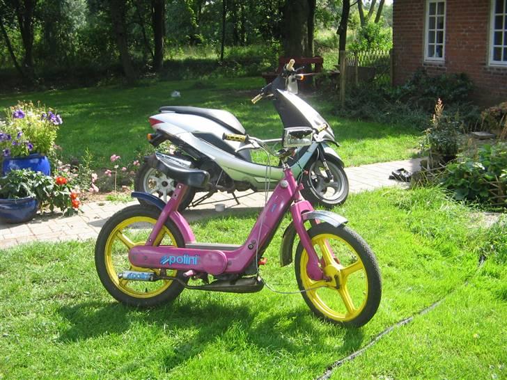 Suzuki estilete  billede 6