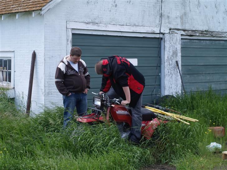 Puch maxi E50 athena solgt billede 17